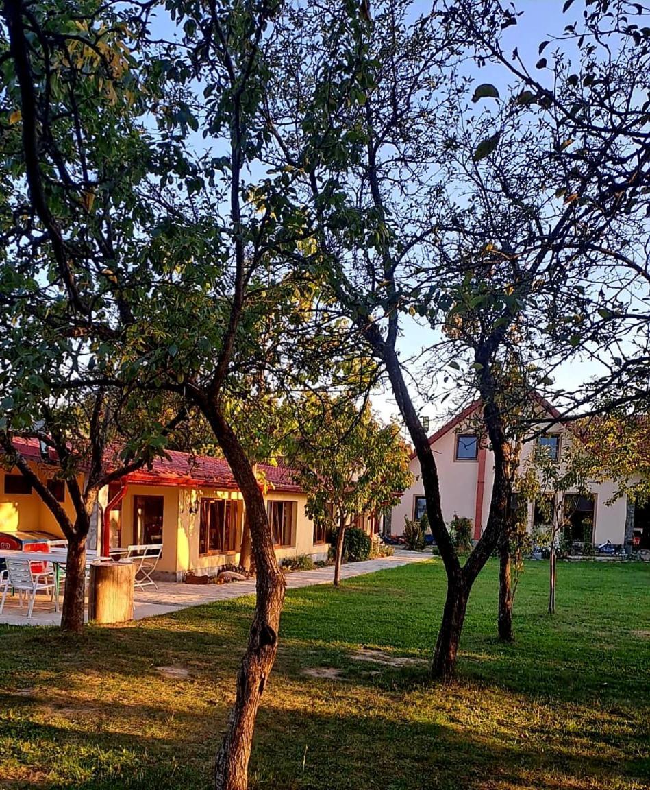 Pensiunea Casa Noastra Baia de Fier Εξωτερικό φωτογραφία