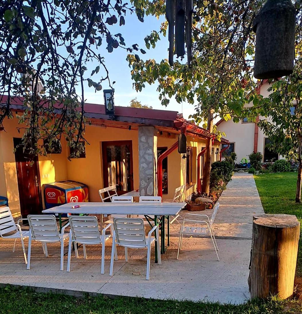 Pensiunea Casa Noastra Baia de Fier Εξωτερικό φωτογραφία