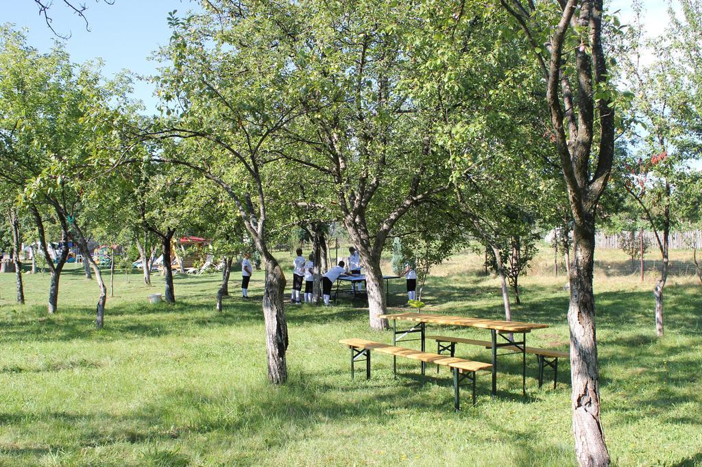 Pensiunea Casa Noastra Baia de Fier Εξωτερικό φωτογραφία