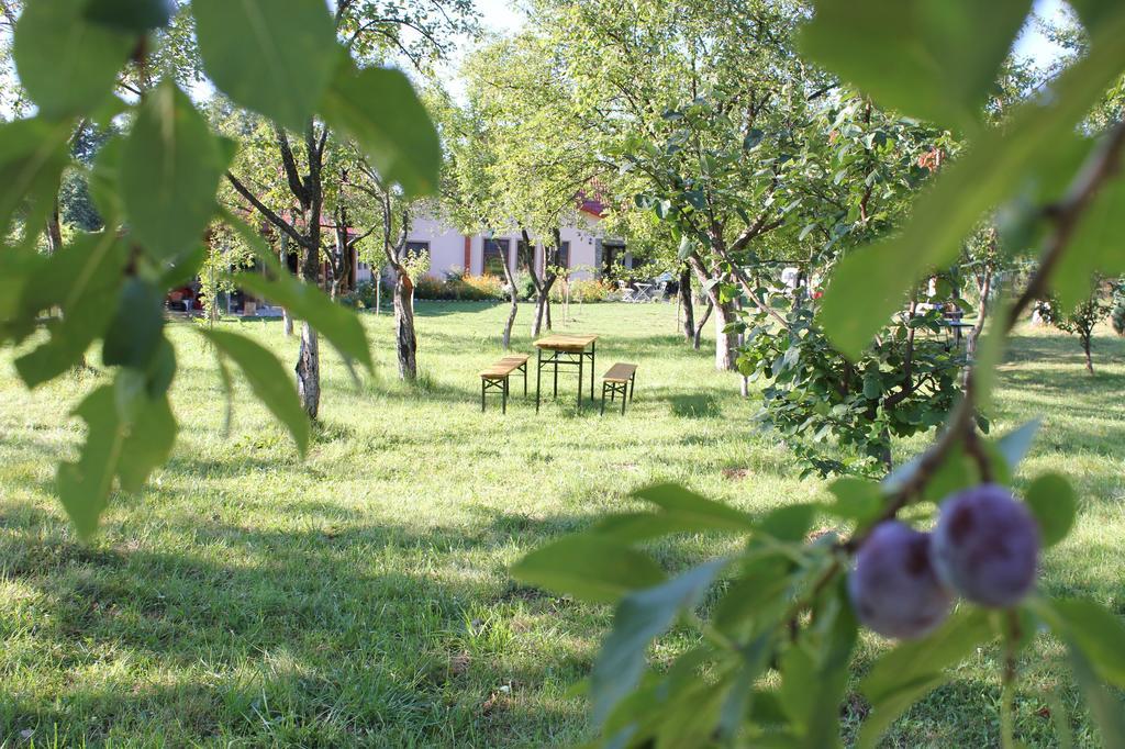 Pensiunea Casa Noastra Baia de Fier Εξωτερικό φωτογραφία