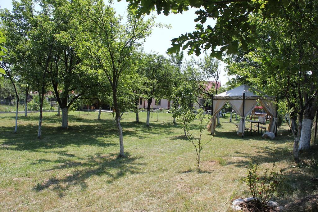Pensiunea Casa Noastra Baia de Fier Εξωτερικό φωτογραφία