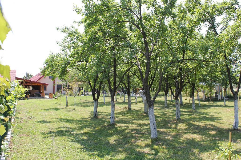 Pensiunea Casa Noastra Baia de Fier Εξωτερικό φωτογραφία