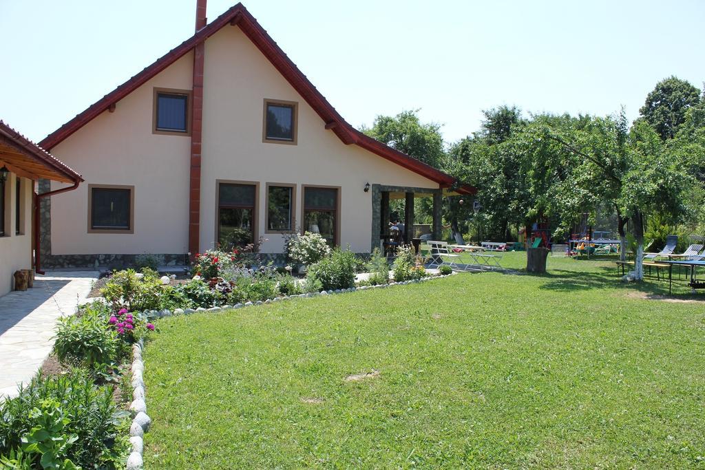 Pensiunea Casa Noastra Baia de Fier Εξωτερικό φωτογραφία