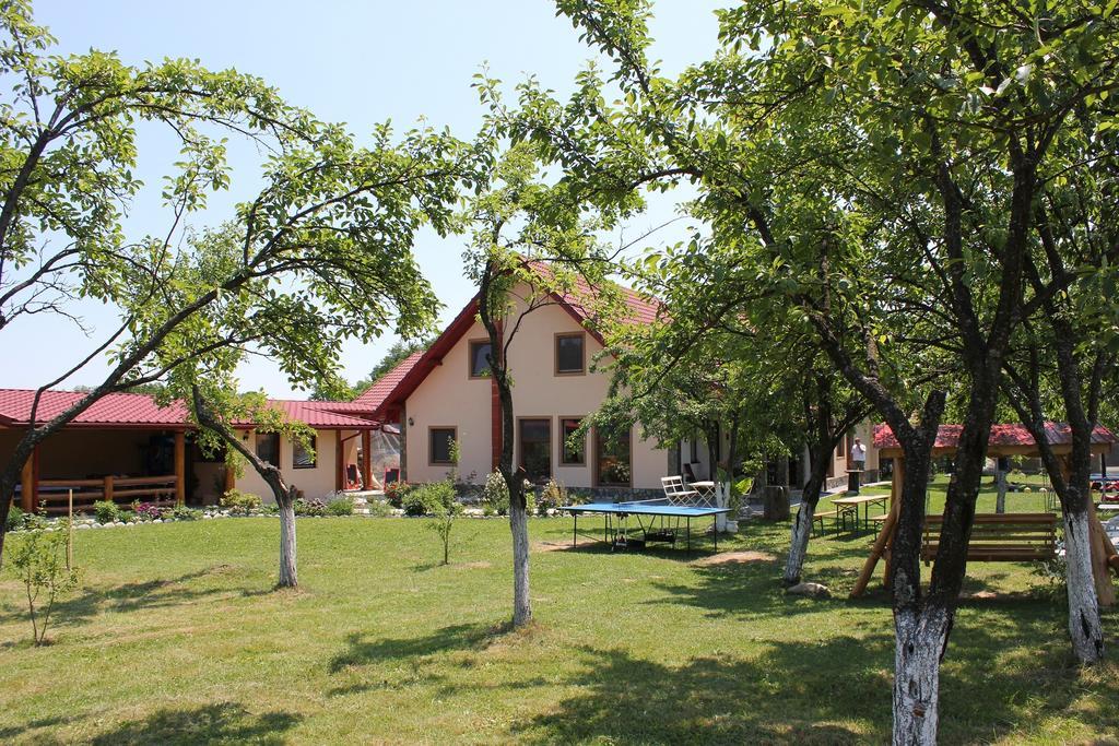 Pensiunea Casa Noastra Baia de Fier Εξωτερικό φωτογραφία