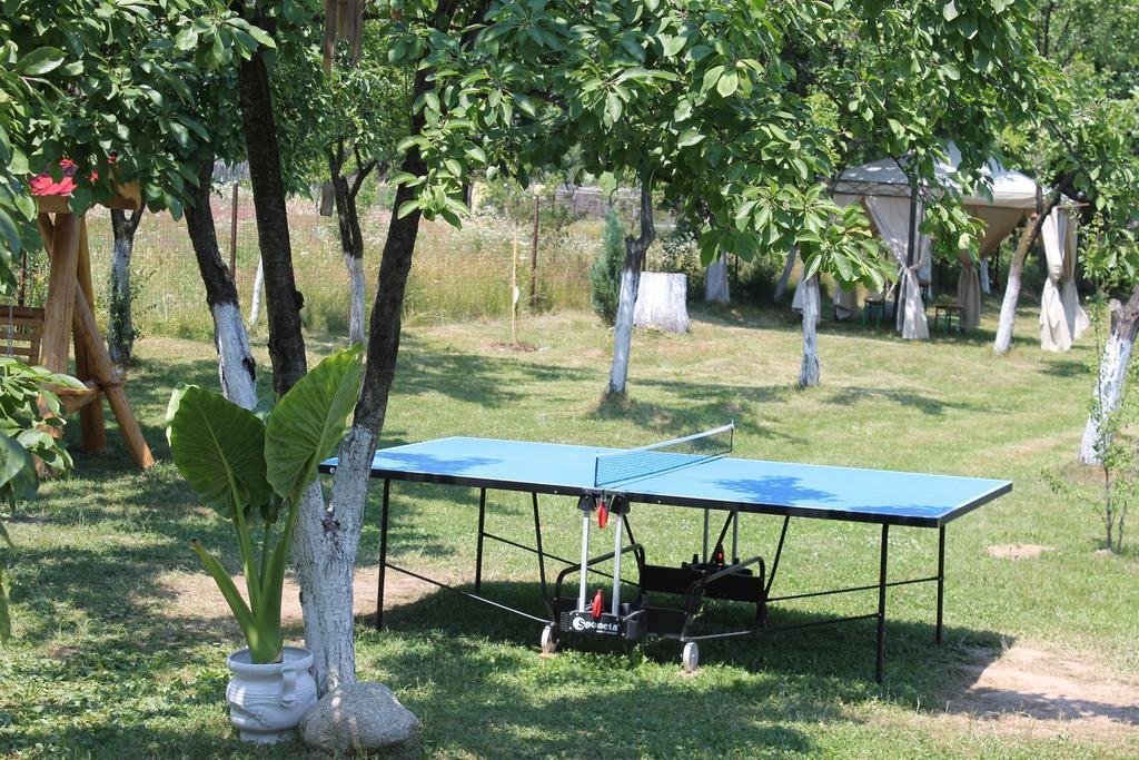 Pensiunea Casa Noastra Baia de Fier Εξωτερικό φωτογραφία