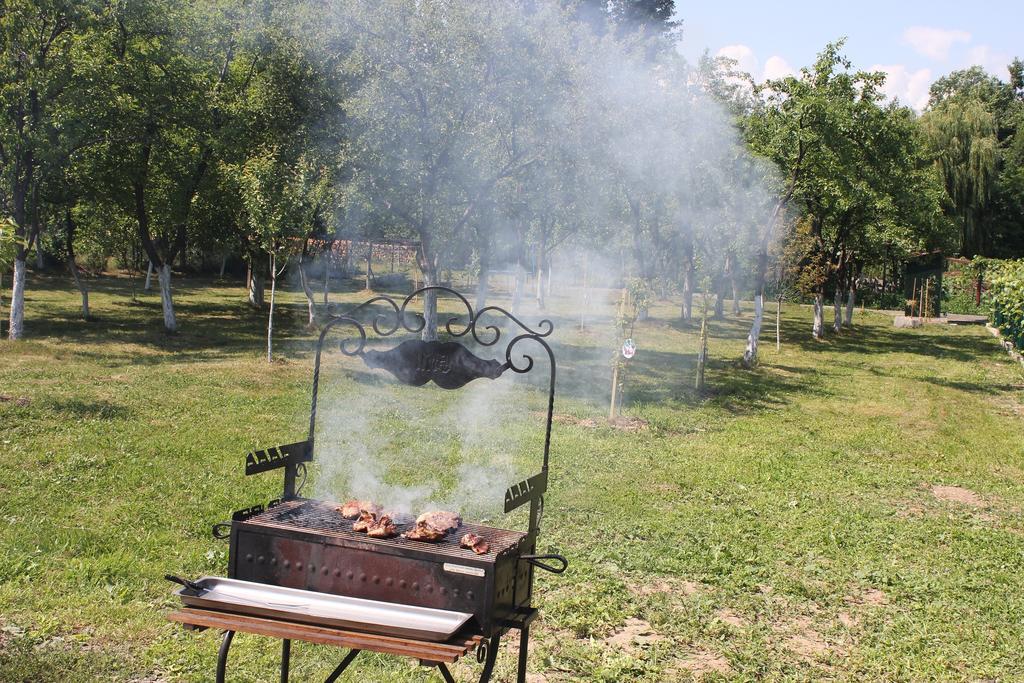 Pensiunea Casa Noastra Baia de Fier Εξωτερικό φωτογραφία