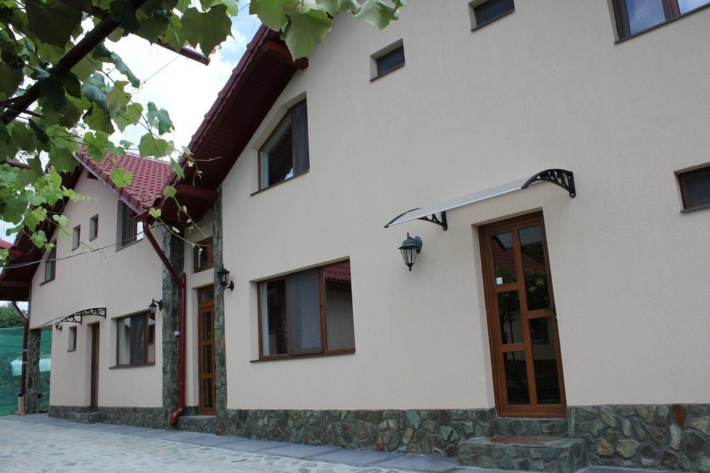 Pensiunea Casa Noastra Baia de Fier Εξωτερικό φωτογραφία